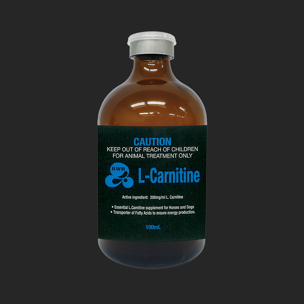 RWR L-CARNITINE I.V.