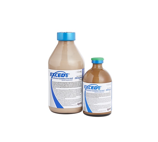 EXCEDE® STERILE SUSPENSION